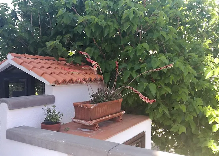 Emblema (adults Only) Сан Мигель