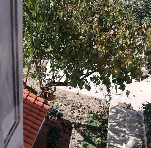 Emblema (adults Only) 3*